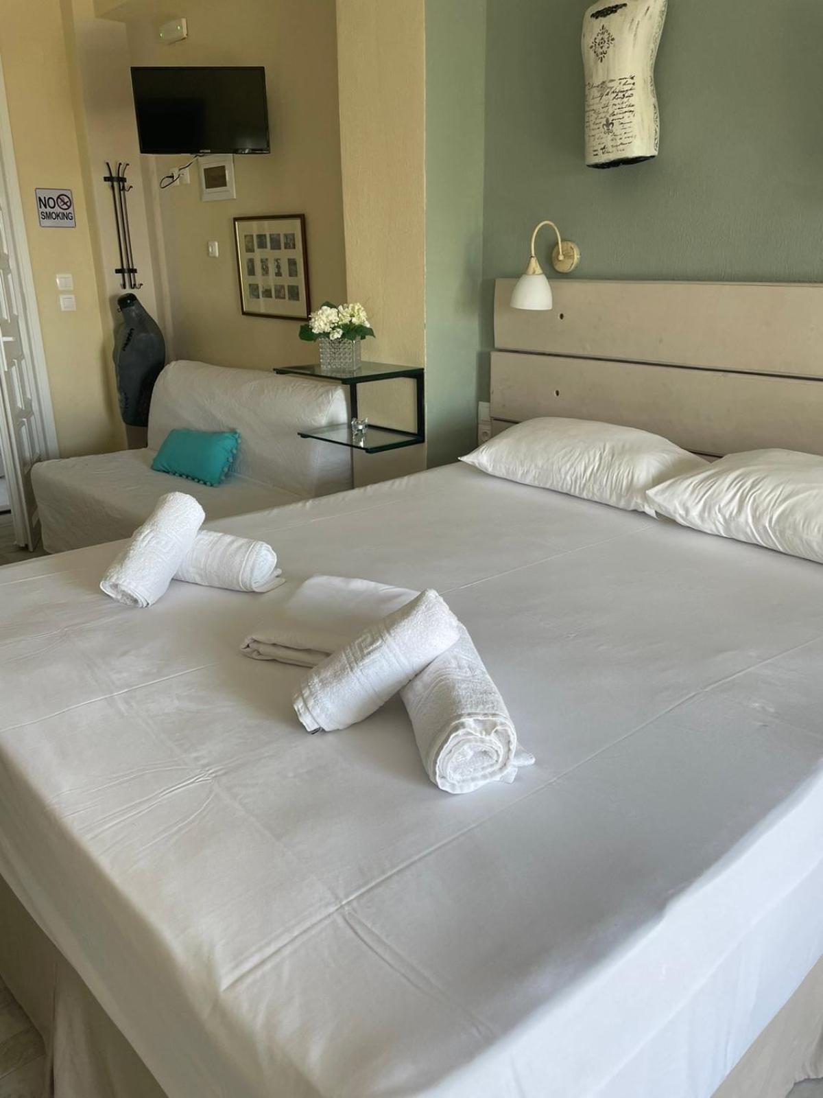 Axion Esti Apartments Skopelos Værelse billede